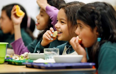 kids nutrition